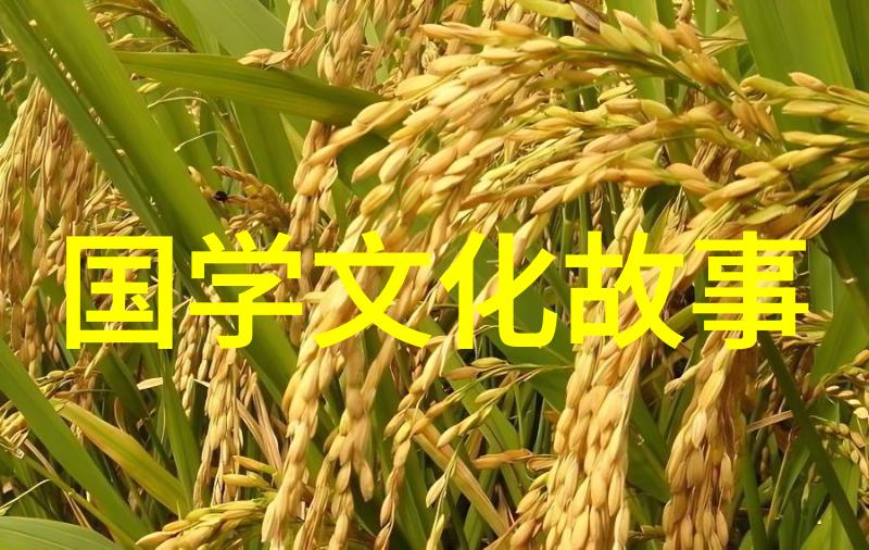 愤不顾身