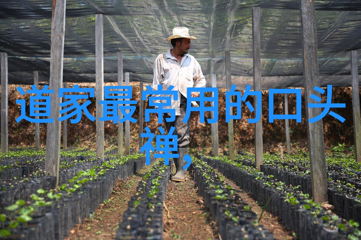 道教区域史研究的力作评赵芃教授山东道教史