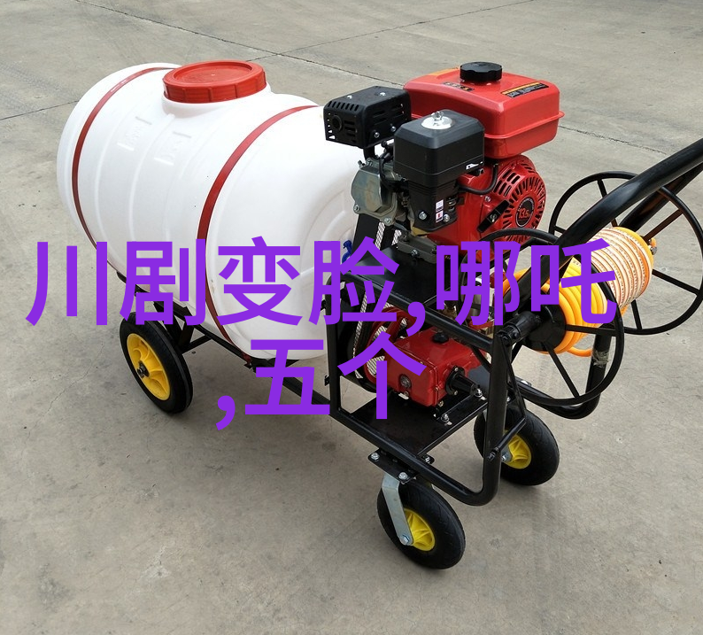 作为儒学代数学的大学